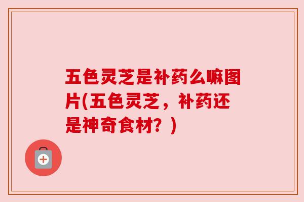 五色灵芝是补药么嘛图片(五色灵芝,补药还是神奇食材?) 五色灵芝是补药么嘛图片(五色灵芝,补药还是神奇食材?)