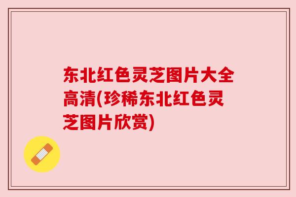 东北红色灵芝图片大全高清(珍稀东北红色灵芝图片欣赏) 东北红色灵芝图片大全高清(珍稀东北红色灵芝图片欣赏)