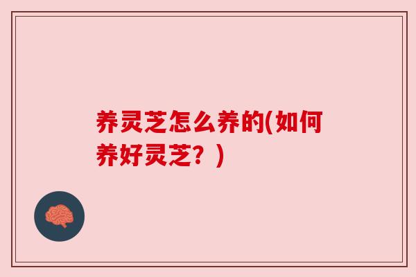 养灵芝怎么养的(如何养好灵芝?) 养灵芝怎么养的(如何养好灵芝?)