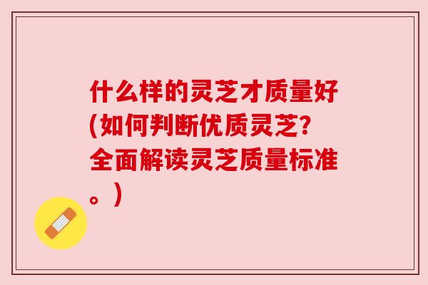什么样的灵芝才质量好(如何判断优质灵芝?全面解读灵芝质量标准。) 什么样的灵芝才质量好(如何判断优质灵芝?全面解读灵芝质量标准。)
