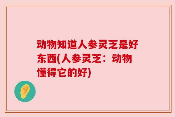 动物知道人参灵芝是好东西(人参灵芝:动物懂得它的好) 动物知道人参灵芝是好东西(人参灵芝:动物懂得它的好)