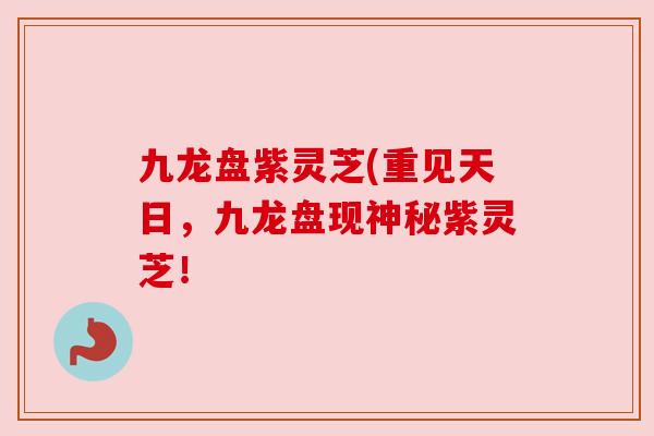 九龙盘紫灵芝(重见天日,九龙盘现神秘紫灵芝! 九龙盘紫灵芝(重见天日,九龙盘现神秘紫灵芝!