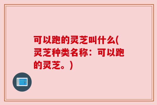 可以跑的灵芝叫什么(灵芝种类名称:可以跑的灵芝。) 可以跑的灵芝叫什么(灵芝种类名称:可以跑的灵芝。)