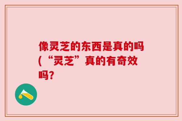 像灵芝的东西是真的吗(“灵芝”真的有奇效吗? 像灵芝的东西是真的吗(“灵芝”真的有奇效吗?