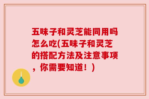 五味子和灵芝能同用吗怎么吃(五味子和灵芝的搭配方法及注意事项,你需要知道!) 五味子和灵芝能同用吗怎么吃(五味子和灵芝的搭配方法及注意事项,你需要知道!)