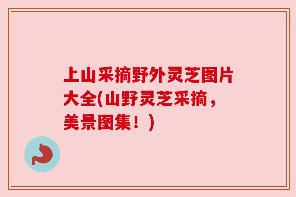 上山采摘野外灵芝图片大全(山野灵芝采摘,美景图集!) 上山采摘野外灵芝图片大全(山野灵芝采摘,美景图集!)