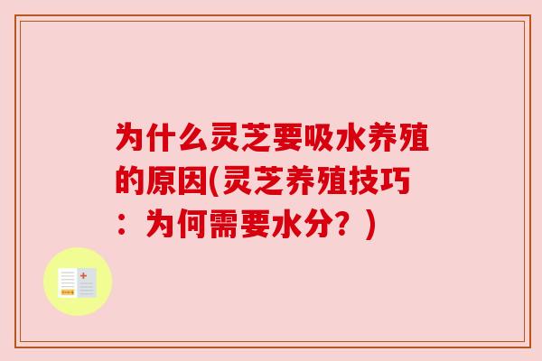 为什么灵芝要吸水养殖的原因(灵芝养殖技巧:为何需要水分?) 为什么灵芝要吸水养殖的原因(灵芝养殖技巧:为何需要水分?)