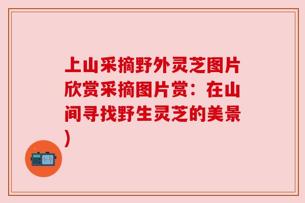 上山采摘野外灵芝图片欣赏采摘图片赏:在山间寻找野生灵芝的美景) 上山采摘野外灵芝图片欣赏采摘图片赏:在山间寻找野生灵芝的美景)