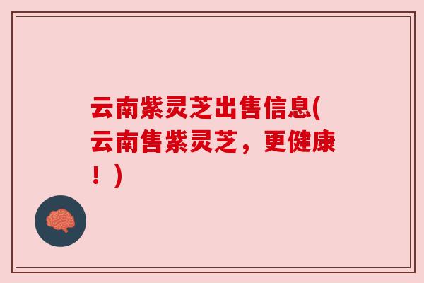 云南紫灵芝出售信息(云南售紫灵芝,更健康!) 云南紫灵芝出售信息(云南售紫灵芝,更健康!)