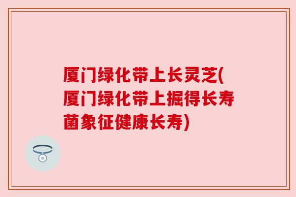 厦门绿化带上长灵芝(厦门绿化带上掘得长寿菌象征健康长寿) 厦门绿化带上长灵芝(厦门绿化带上掘得长寿菌象征健康长寿)