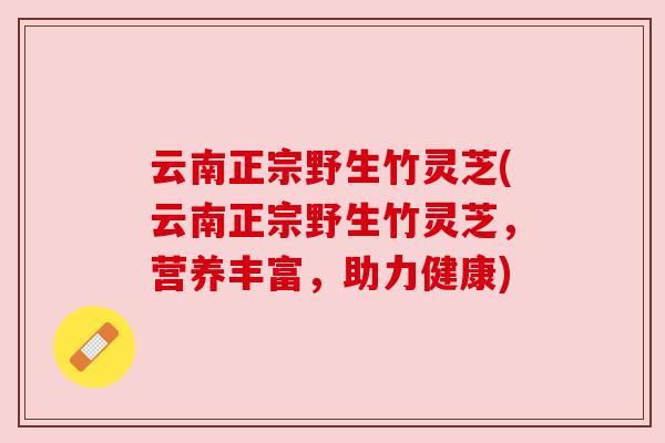 云南正宗野生竹灵芝(云南正宗野生竹灵芝,营养丰富,助力健康) 云南正宗野生竹灵芝(云南正宗野生竹灵芝,营养丰富,助力健康)