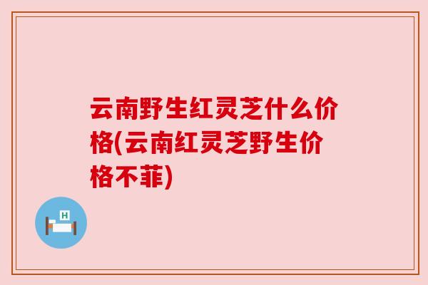 云南野生红灵芝什么价格(云南红灵芝野生价格不菲)