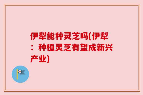 伊犁能种灵芝吗(伊犁:种植灵芝有望成新兴产业) 伊犁能种灵芝吗(伊犁:种植灵芝有望成新兴产业)