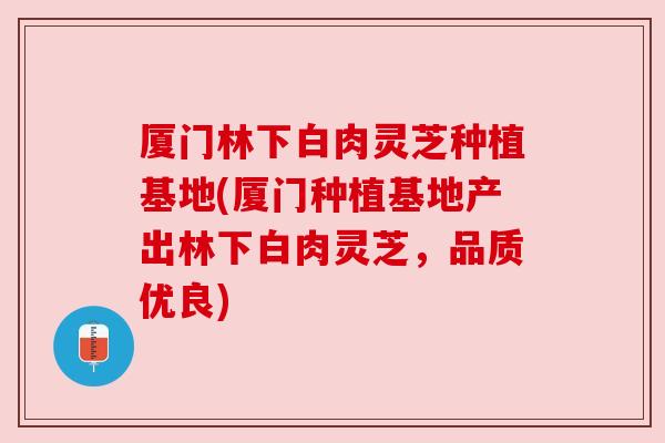 厦门林下白肉灵芝种植基地(厦门种植基地产出林下白肉灵芝,品质优良) 厦门林下白肉灵芝种植基地(厦门种植基地产出林下白肉灵芝,品质优良)