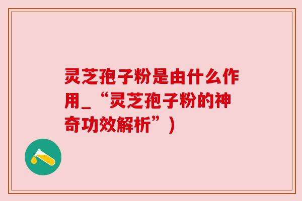 灵芝孢子粉是由什么作用_“灵芝孢子粉的神奇功效解析”)