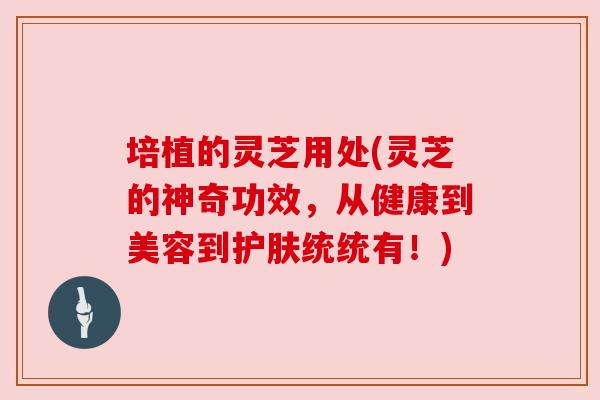 培植的灵芝用处(灵芝的神奇功效，从健康到美容到护肤统统有！)