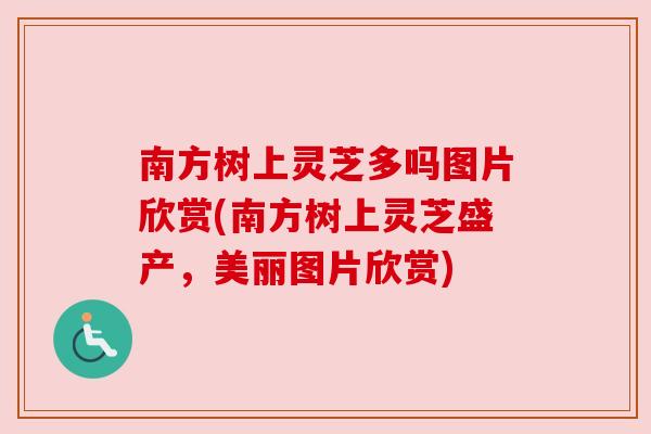 南方树上灵芝多吗图片欣赏(南方树上灵芝盛产,美丽图片欣赏) 南方树上灵芝多吗图片欣赏(南方树上灵芝盛产,美丽图片欣赏)