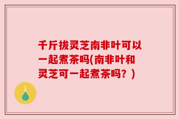 千斤拔灵芝南非叶可以一起煮茶吗(南非叶和灵芝可一起煮茶吗?) 千斤拔灵芝南非叶可以一起煮茶吗(南非叶和灵芝可一起煮茶吗?)