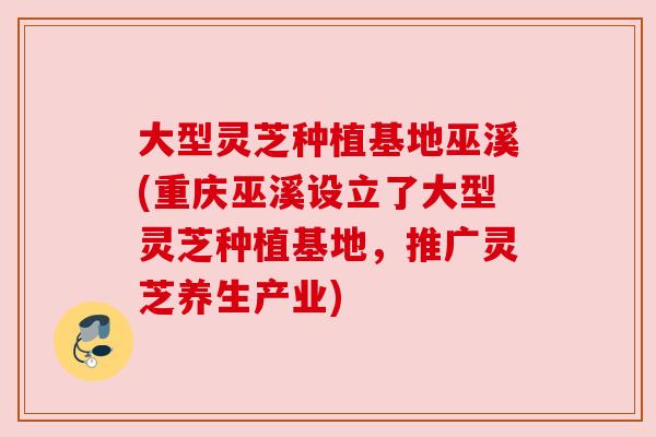 大型灵芝种植基地巫溪(重庆巫溪设立了大型灵芝种植基地,推广灵芝养生产业) 大型灵芝种植基地巫溪(重庆巫溪设立了大型灵芝种植基地,推广灵芝养生产业)