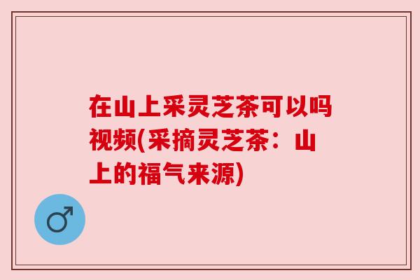 在山上采灵芝茶可以吗视频(采摘灵芝茶：山上的福气来源)