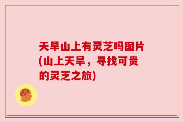 天旱山上有灵芝吗图片(山上天旱,寻找可贵的灵芝之旅) 天旱山上有灵芝吗图片(山上天旱,寻找可贵的灵芝之旅)