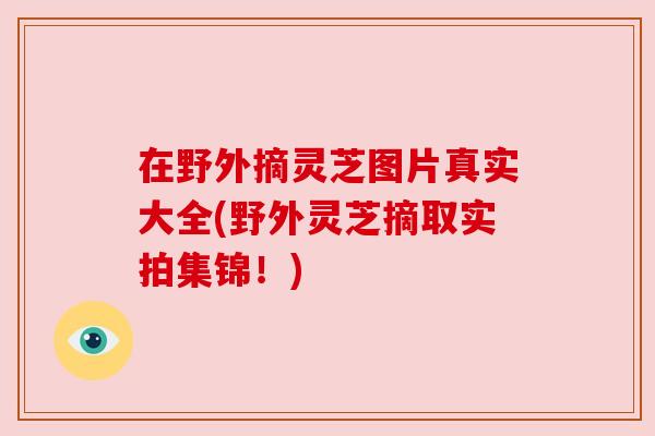 在野外摘灵芝图片真实大全(野外灵芝摘取实拍集锦!) 在野外摘灵芝图片真实大全(野外灵芝摘取实拍集锦!)