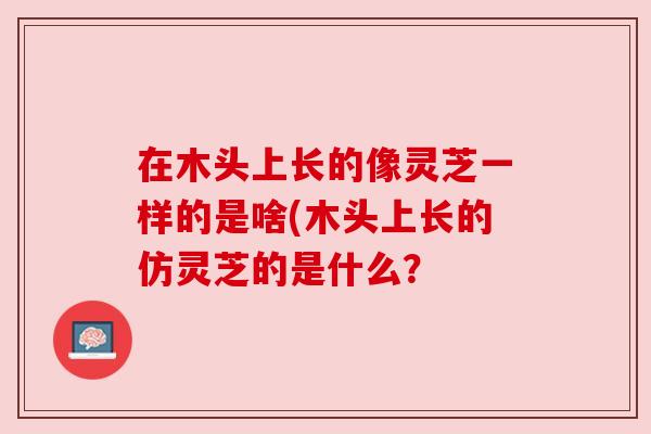 在木头上长的像灵芝一样的是啥(木头上长的仿灵芝的是什么? 在木头上长的像灵芝一样的是啥(木头上长的仿灵芝的是什么?