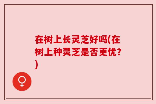 在树上长灵芝好吗(在树上种灵芝是否更优?) 在树上长灵芝好吗(在树上种灵芝是否更优?)