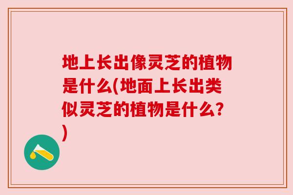 地上长出像灵芝的植物是什么(地面上长出类似灵芝的植物是什么?) 地上长出像灵芝的植物是什么(地面上长出类似灵芝的植物是什么?)