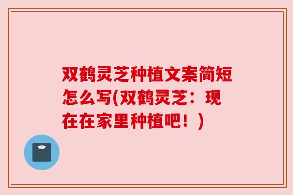 双鹤灵芝种植文案简短怎么写(双鹤灵芝:现在在家里种植吧!) 双鹤灵芝种植文案简短怎么写(双鹤灵芝:现在在家里种植吧!)
