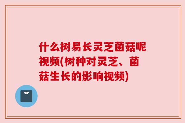 什么树易长灵芝菌菇呢视频(树种对灵芝、菌菇生长的影响视频) 什么树易长灵芝菌菇呢视频(树种对灵芝、菌菇生长的影响视频)
