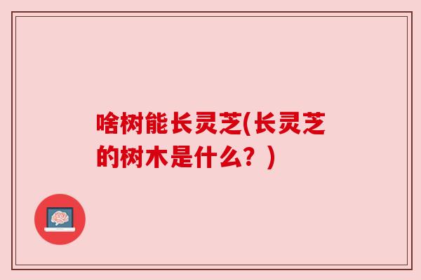 啥树能长灵芝(长灵芝的树木是什么?) 啥树能长灵芝(长灵芝的树木是什么?)