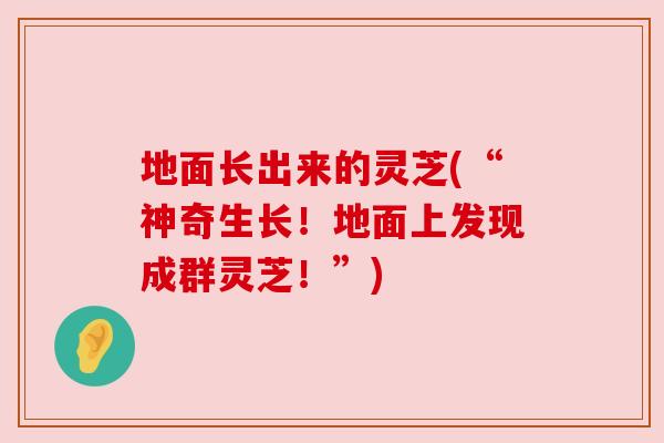 地面长出来的灵芝(“神奇生长！地面上发现成群灵芝！”)