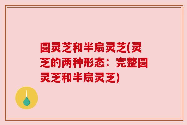圆灵芝和半扇灵芝(灵芝的两种形态:完整圆灵芝和半扇灵芝) 圆灵芝和半扇灵芝(灵芝的两种形态:完整圆灵芝和半扇灵芝)