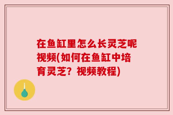 在鱼缸里怎么长灵芝呢视频(如何在鱼缸中培育灵芝?视频教程) 在鱼缸里怎么长灵芝呢视频(如何在鱼缸中培育灵芝?视频教程)