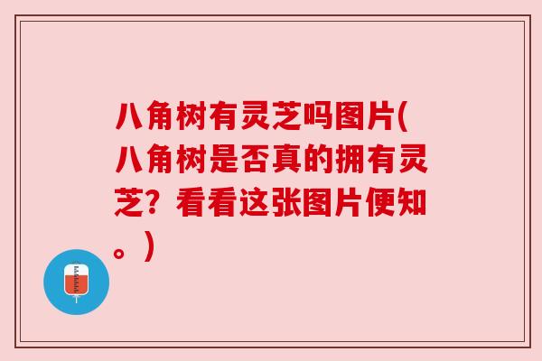 八角树有灵芝吗图片(八角树是否真的拥有灵芝?看看这张图片便知。) 八角树有灵芝吗图片(八角树是否真的拥有灵芝?看看这张图片便知。)