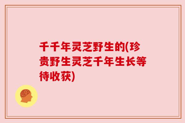 千千年灵芝野生的(珍贵野生灵芝千年生长等待收获)