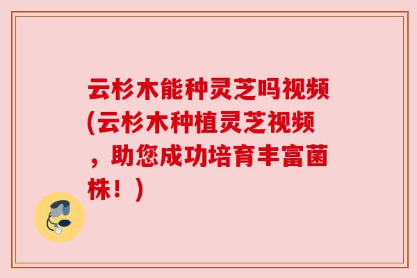 云杉木能种灵芝吗视频(云杉木种植灵芝视频，助您成功培育丰富菌株！)