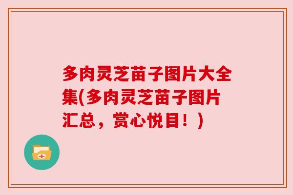 多肉灵芝苗子图片大全集(多肉灵芝苗子图片汇总,赏心悦目!) 多肉灵芝苗子图片大全集(多肉灵芝苗子图片汇总,赏心悦目!)