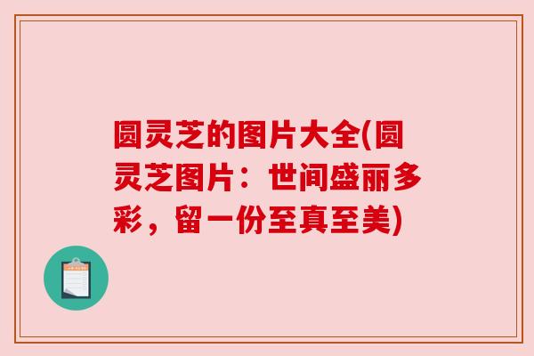 圆灵芝的图片大全(圆灵芝图片:世间盛丽多彩,留一份至真至美) 圆灵芝的图片大全(圆灵芝图片:世间盛丽多彩,留一份至真至美)