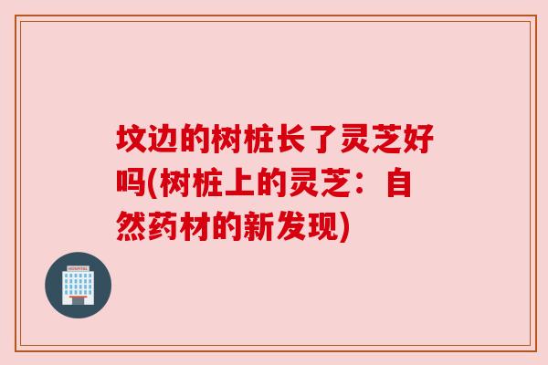 坟边的树桩长了灵芝好吗(树桩上的灵芝:自然药材的新发现) 坟边的树桩长了灵芝好吗(树桩上的灵芝:自然药材的新发现)