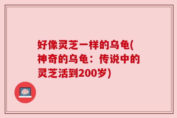 好像灵芝一样的乌龟(神奇的乌龟:传说中的灵芝活到200岁) 好像灵芝一样的乌龟(神奇的乌龟:传说中的灵芝活到200岁)
