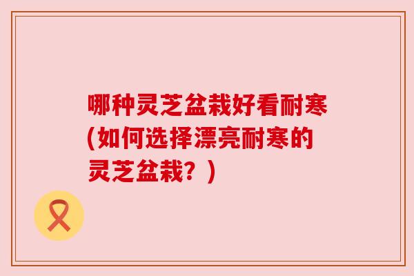 哪种灵芝盆栽好看耐寒(如何选择漂亮耐寒的灵芝盆栽?) 哪种灵芝盆栽好看耐寒(如何选择漂亮耐寒的灵芝盆栽?)