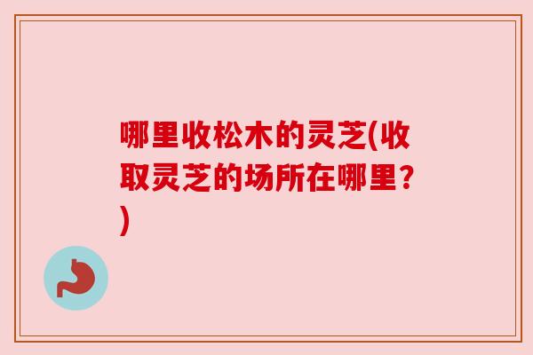哪里收松木的灵芝(收取灵芝的场所在哪里?) 哪里收松木的灵芝(收取灵芝的场所在哪里?)