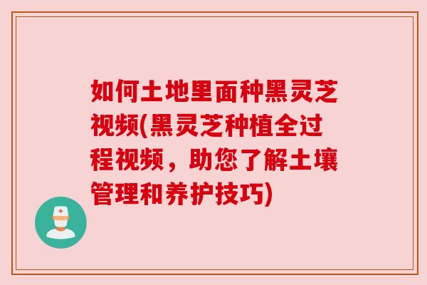 如何土地里面种黑灵芝视频(黑灵芝种植全过程视频,助您了解土壤管理和养护技巧) 如何土地里面种黑灵芝视频(黑灵芝种植全过程视频,助您了解土壤管理和养护技巧)