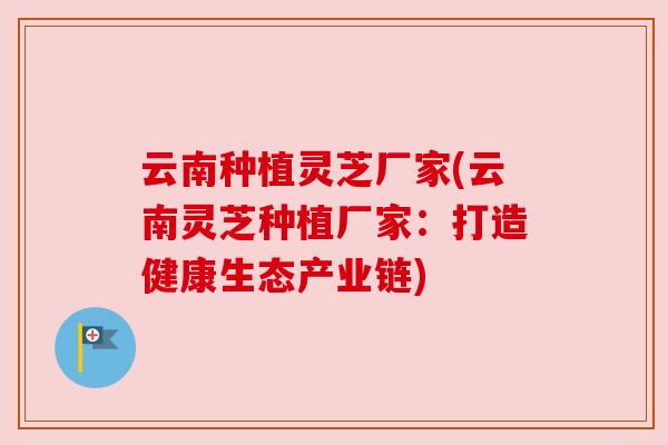云南种植灵芝厂家(云南灵芝种植厂家：打造健康生态产业链)