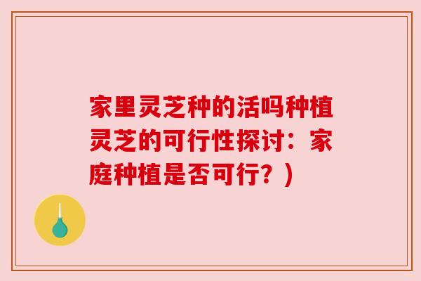 家里灵芝种的活吗种植灵芝的可行性探讨:家庭种植是否可行?) 家里灵芝种的活吗种植灵芝的可行性探讨:家庭种植是否可行?)
