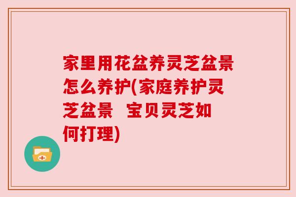 家里用花盆养灵芝盆景怎么养护(家庭养护灵芝盆景 宝贝灵芝如何打理) 家里用花盆养灵芝盆景怎么养护(家庭养护灵芝盆景 宝贝灵芝如何打理)