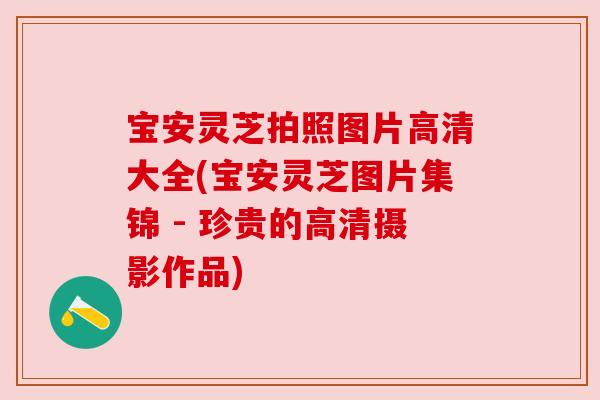宝安灵芝拍照图片高清大全(宝安灵芝图片集锦 - 珍贵的高清摄影作品)