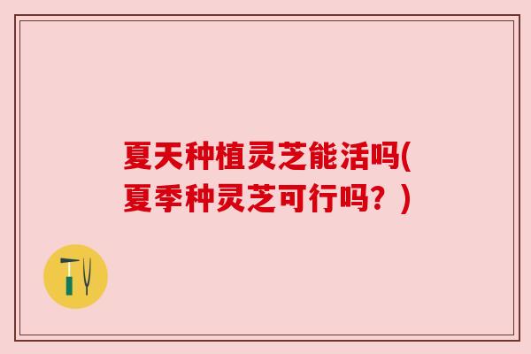 夏天种植灵芝能活吗(夏季种灵芝可行吗?) 夏天种植灵芝能活吗(夏季种灵芝可行吗?)